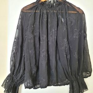 Zara Embroidered semi sheer blouse